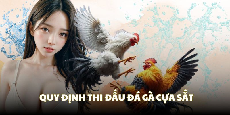 Thời gian thi đấu chọi gà cựa sắt khá nhanh so với đá gà đòn